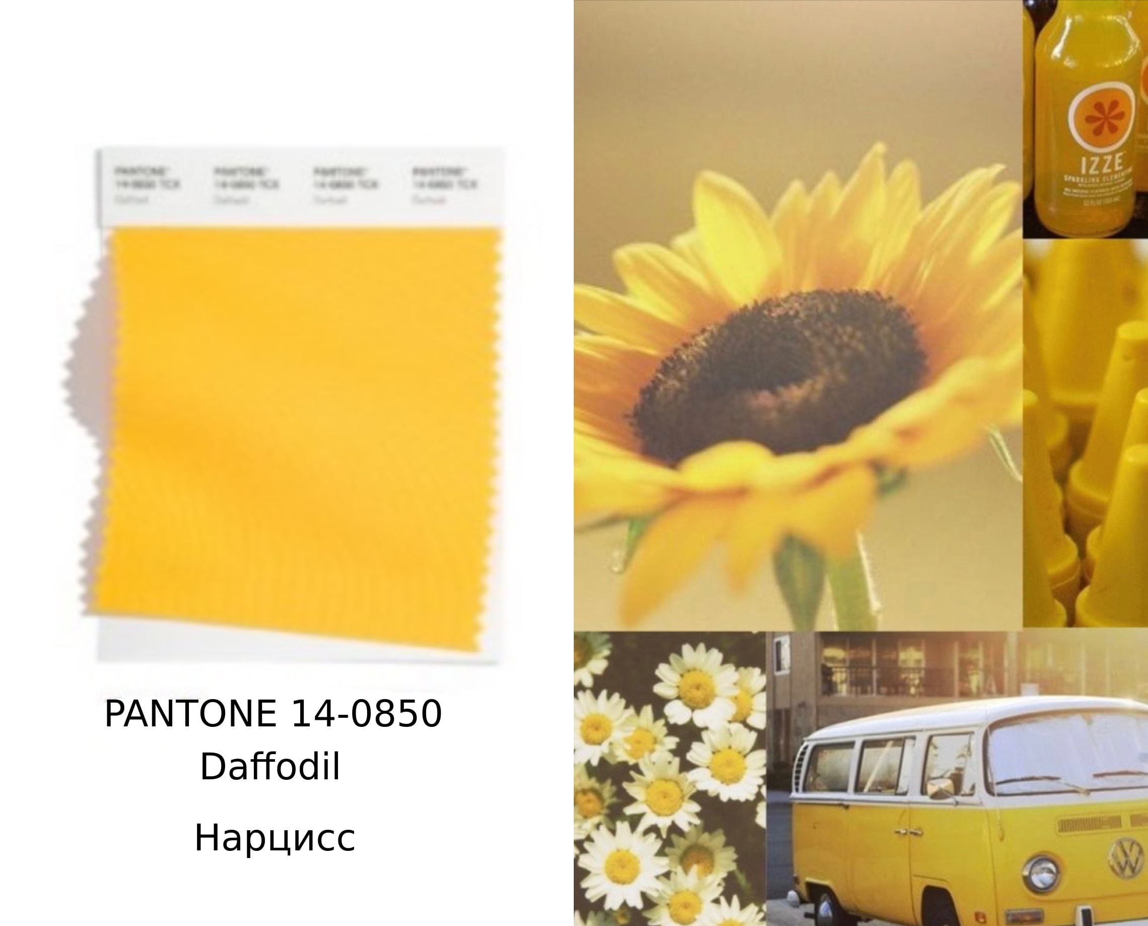 PANTONE 14-0850 Daffodil - Нарцис