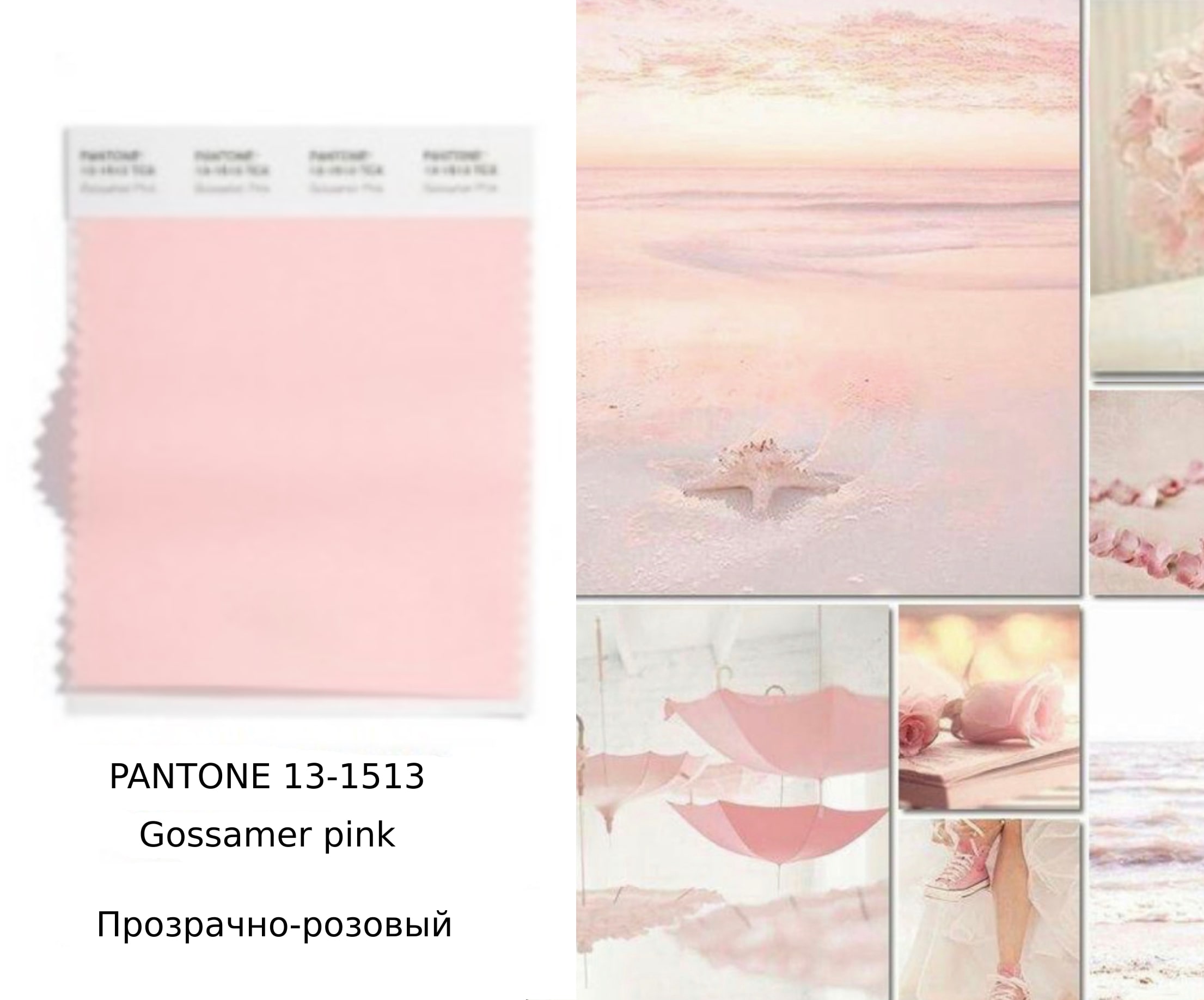 PANTONE 13-1513 Gossamer Pink — Рожеве павутиння